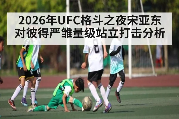 2026年UFC格斗之夜宋亚东对彼得严雏量级站立打击分析